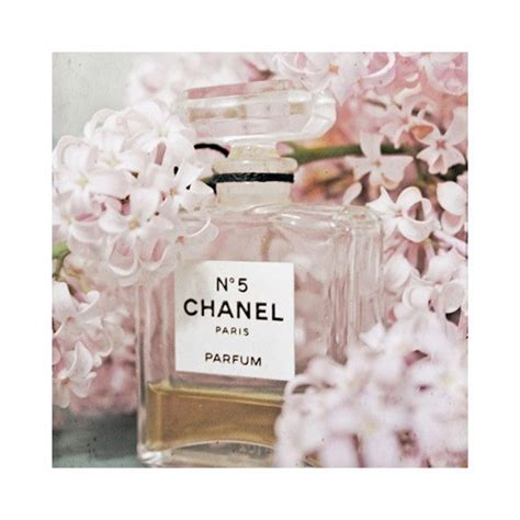 chanel perfume tumblr|chanel perfume for sale.